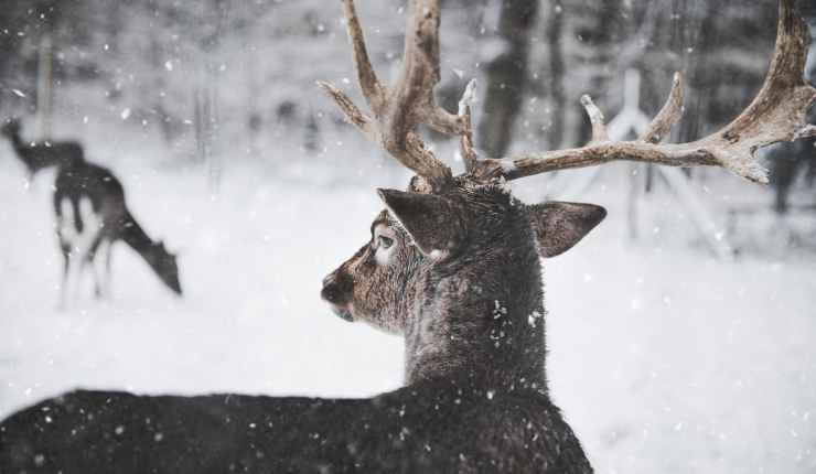 Unser Februar Newsletter