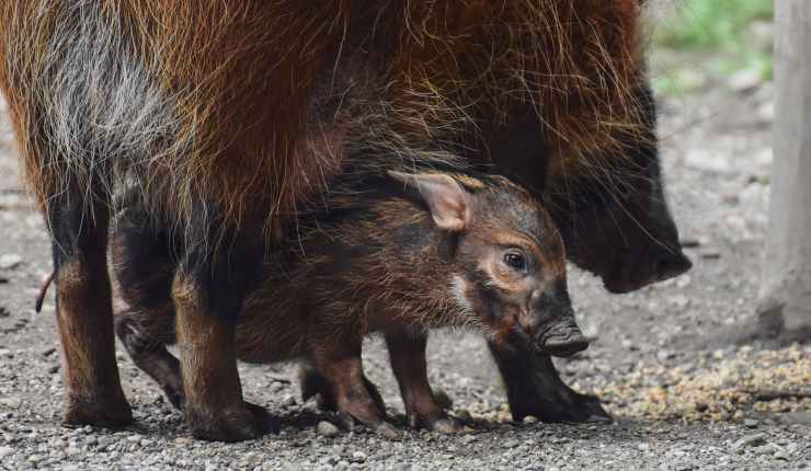 Unser April Newsletter