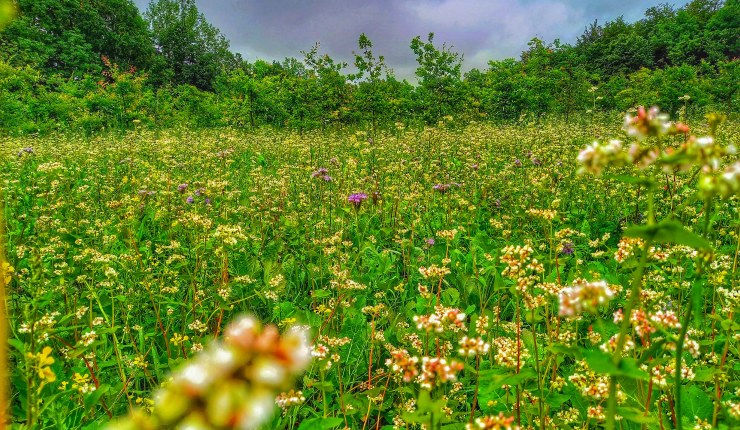 Unser Juli Newsletter