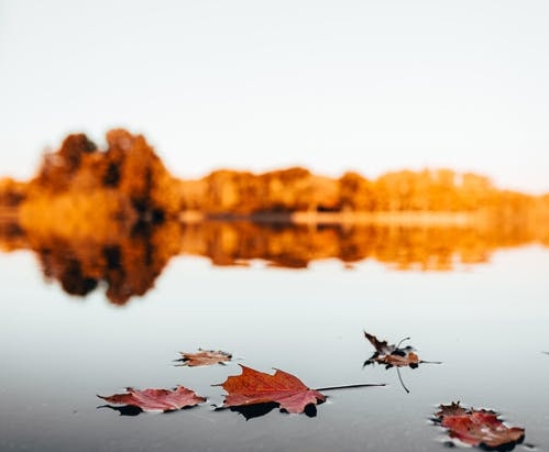 Unser Oktober Newsletter