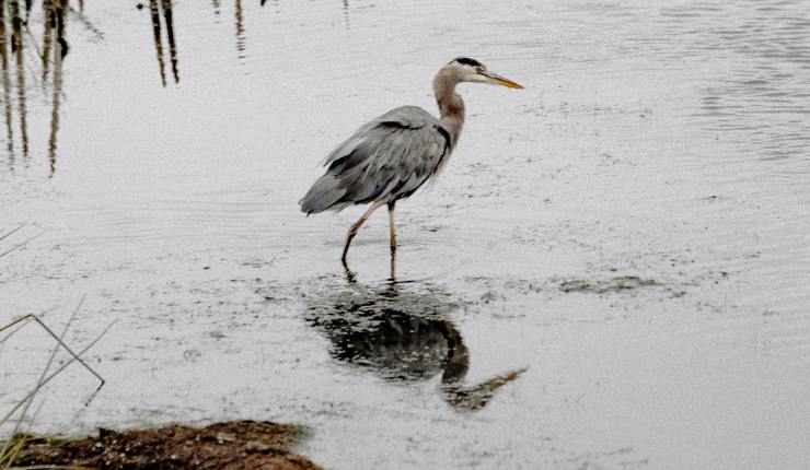 Unser Februar Newsletter