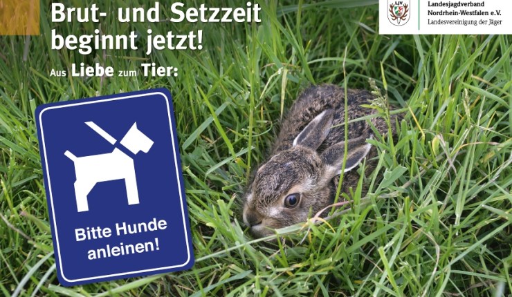Unser März Newsletter