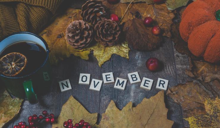 Unser November Newsletter