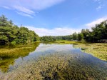 Unser August Newsletter