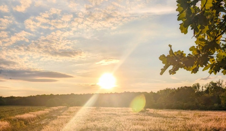 Unser September Newsletter