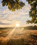 Unser September Newsletter